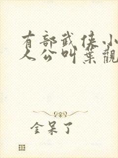 有部武侠小说主人公叫叶观的小说