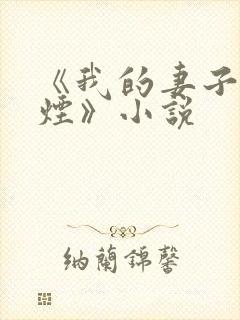 《我的妻子柳如烟》小说