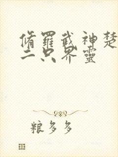 修罗武神楚枫第二只界灵