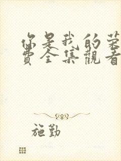 你是我的荣耀免费全集观看