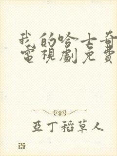 我的哈士奇男友电视剧免费观看全集