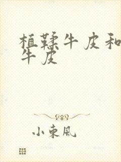 植鞣牛皮和头层牛皮