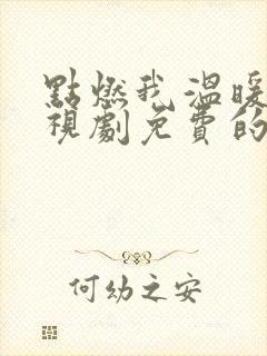 点燃我温暖你电视剧免费的