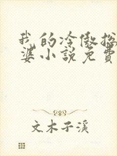 我的冷傲总裁老婆小说免费阅读封面