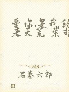 爱你,是我的地老天荒 叶非夜小说