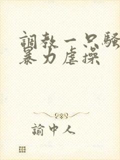 调教一只骚母狗暴力虐操