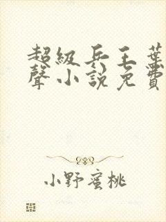 超级兵王叶谦有声小说免费全本完整版