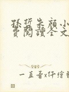 孙哲朱颜小说免费阅读全文最新章节