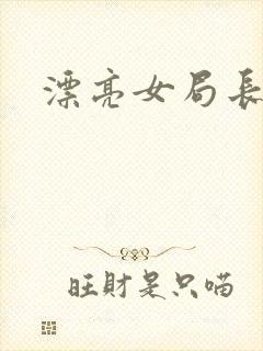 漂亮女局长封面