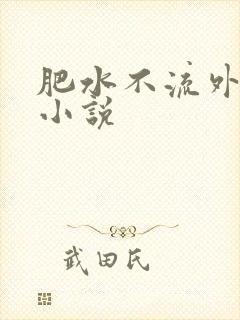 肥水不流外人田小说