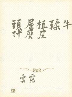 头层植鞣牛皮是什么皮