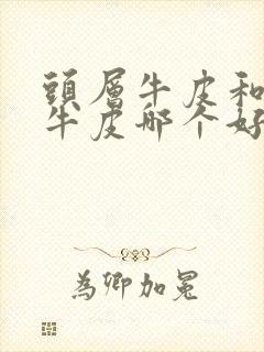 头层牛皮和真皮牛皮哪个好