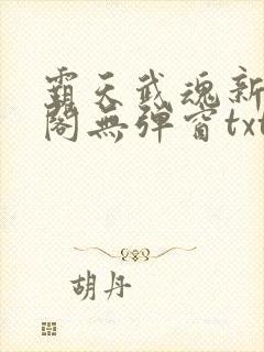 霸天武魂新笔趣阁无弹窗txt