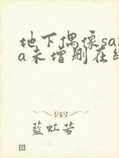 地下偶像sana未增删在线观看