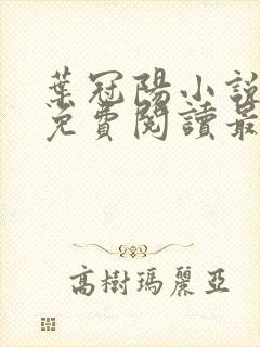 叶冠阳小说全文免费阅读最新章节