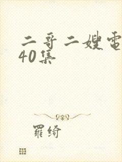 二哥二嫂电视剧40集
