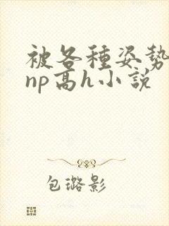 被各种姿势玩弄np高h小说