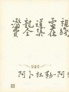 潜龙道电视剧免费全集在线观看封面