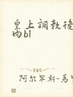 皇上调教后宫h肉bl