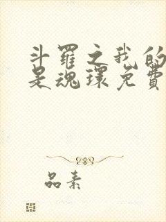 斗罗之我的武魂是魂环免费阅读全文封面