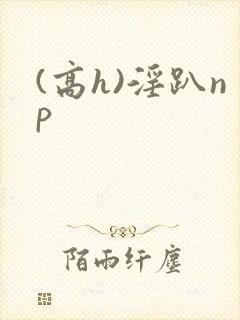 (高h)淫趴np封面