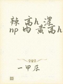 辣 高h 浓 np 肉 黄高h