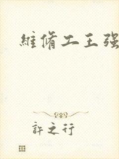 维修工王强张婷封面