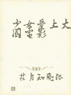 少女爱上大叔韩国电影