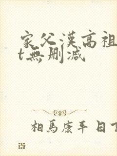 家父汉高祖txt无删减