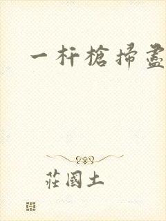 一杆枪扫尽全家封面