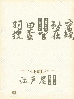 羽田あい秘密女搜查官在线观看