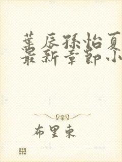 叶辰孙怡夏若雪最新章节小说