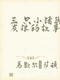 三 只小猪与大灰狼的故事封面