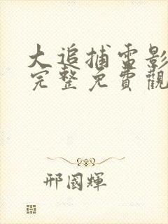 大追捕电影在线完整免费观看国语