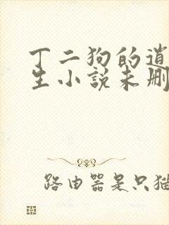 丁二狗的逍遥人生小说未删减版