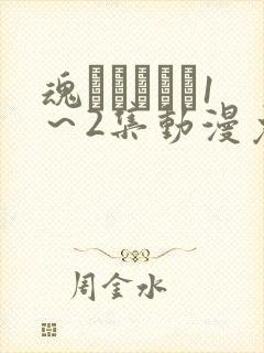 魂インサート1～2集动漫免费