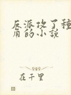 反派攻了种马主角的小说