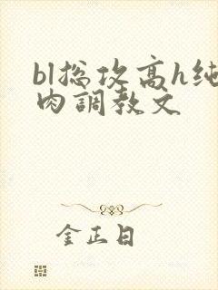 bl总攻高h纯肉调教文