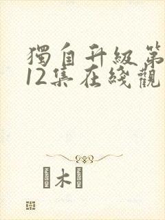 独自升级第二季12集在线观看