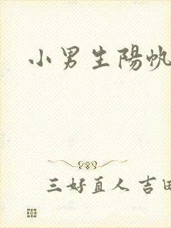 小男生阳帆封面