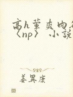 高h荤爽肉欲文〈np〉 小说