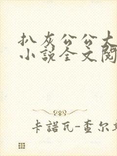 扒灰公公大杂烩小说全文阅读