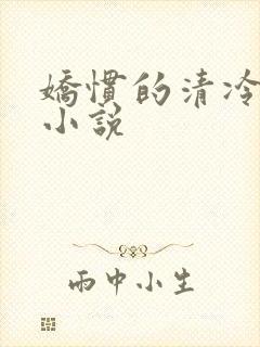 娇惯的清冷美人小说