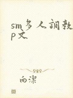 sm多人调教np文