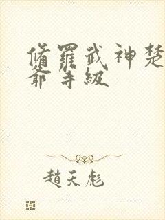 修罗武神楚枫爷爷等级封面