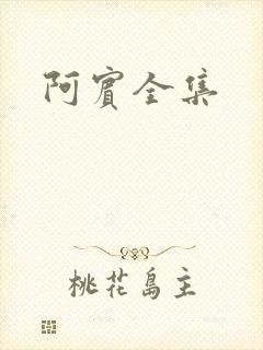 阿宾全集封面