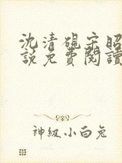 沈清砚宋昭汐小说免费阅读最新章节封面