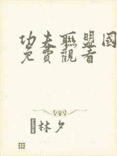 功夫联盟国语版免费观看