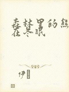 森林里的熊先生在冬眠封面