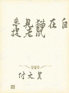 梦见猫在自己家捉老鼠